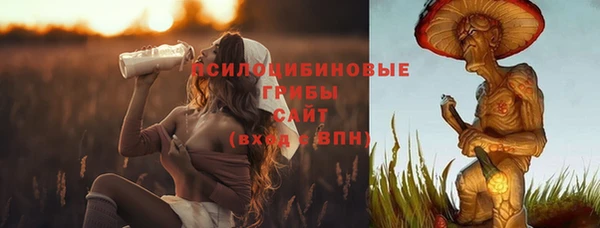 mdpv Волоколамск