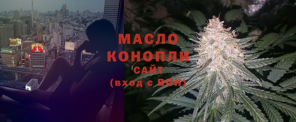 дмт Верея