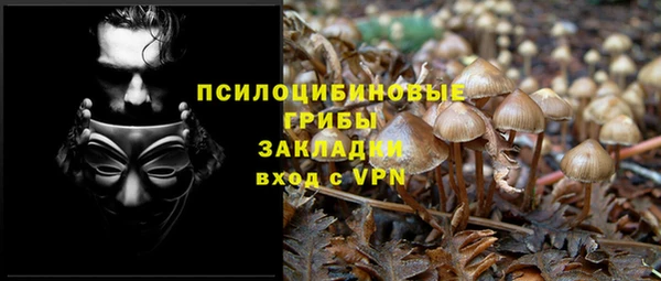дмт Верея