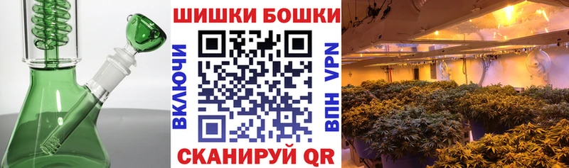 Каннабис SATIVA & INDICA  Купить закладки  Наволоки 